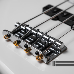 ดาวน์โหลดและฟังเพลง No Bass: Funky Groove In E พร้อมเนื้อเพลงจาก Backing Tracks