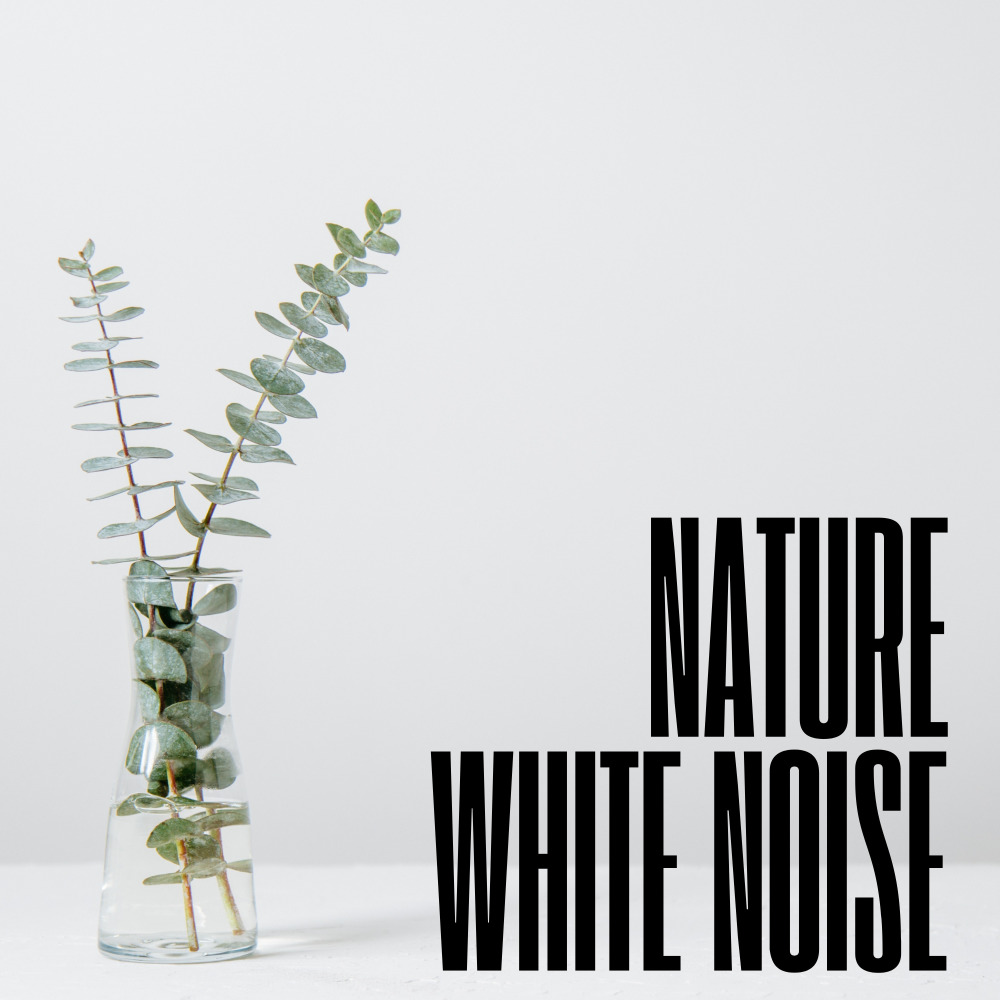 White Noise Echo Chamber