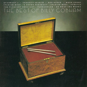ดาวน์โหลดและฟังเพลง The Pleasant Pheasant (LP版) พร้อมเนื้อเพลงจาก Billy Cobham