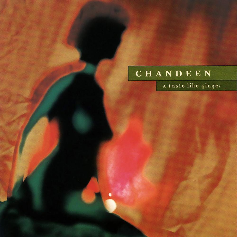 On Land (Steve Roach Remix)