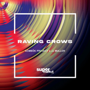 ดาวน์โหลดและฟังเพลง Raving Crows (Radio-Edit) พร้อมเนื้อเพลงจาก JJ Mullor