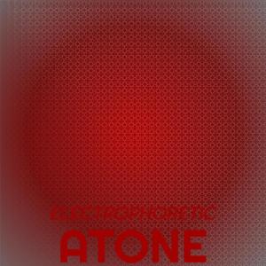 收听Yene Waly的Electrophoretic Atone歌词歌曲