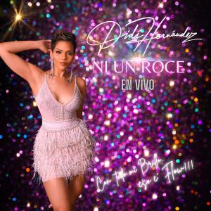 ดาวน์โหลดและฟังเพลง Ni un Roce (En vivo) พร้อมเนื้อเพลงจาก Didi Hernandez