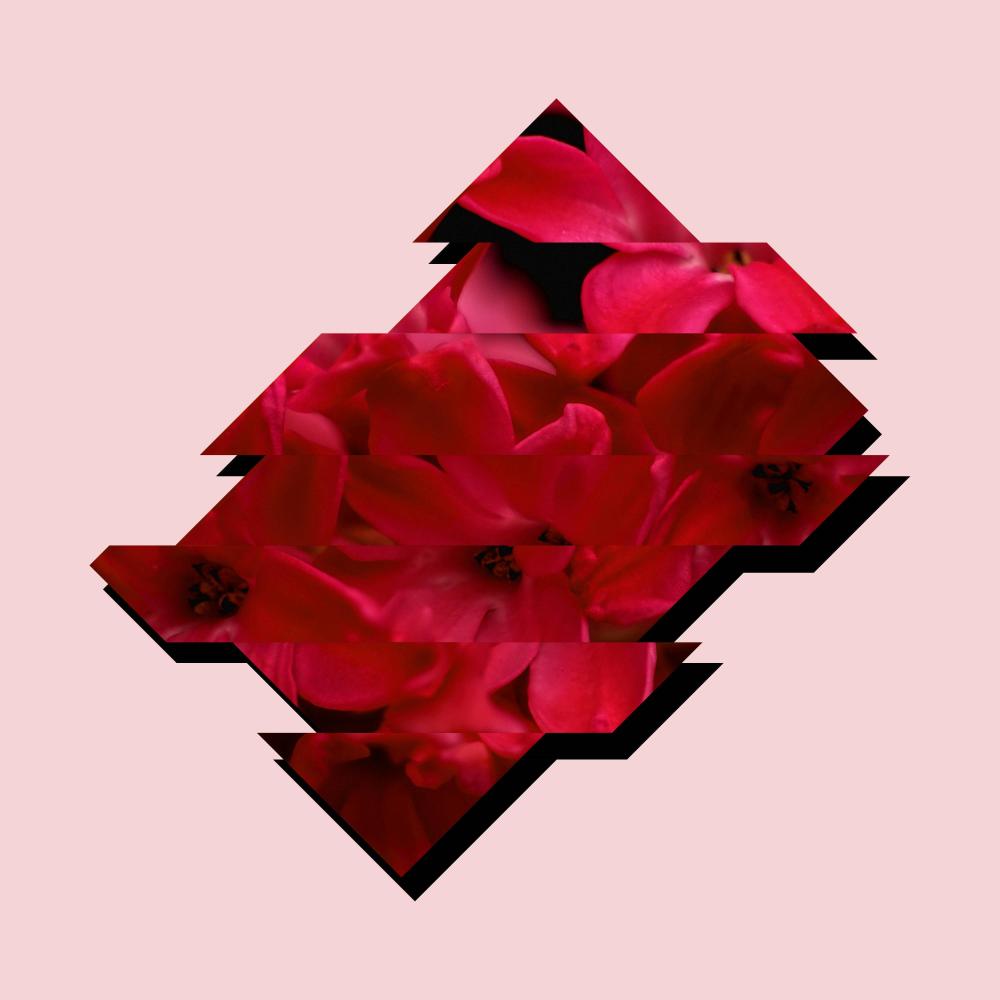 As The Garden Grows