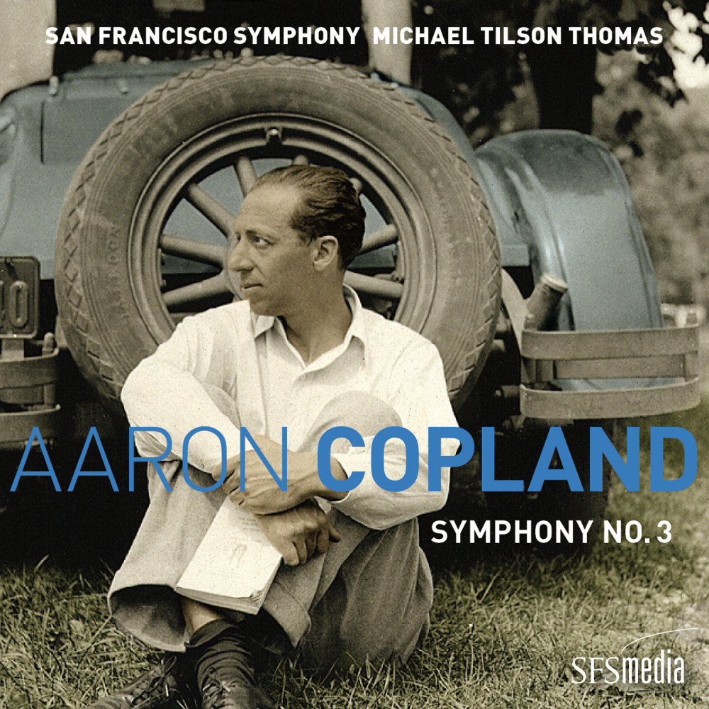 Symphony No. 3: II. Allegro molto
