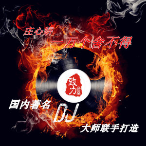Listen to 一万个舍不得 (DJcandy MiX版本) song with lyrics from Ada (庄心妍)