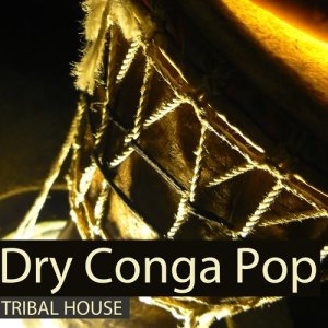 Various Artists的專輯Dry Conga Pop