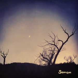 Listen to Phenomenon song with lyrics from Samson