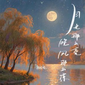 Album 月光那么亮 晚风那么凉 from 段晓晓