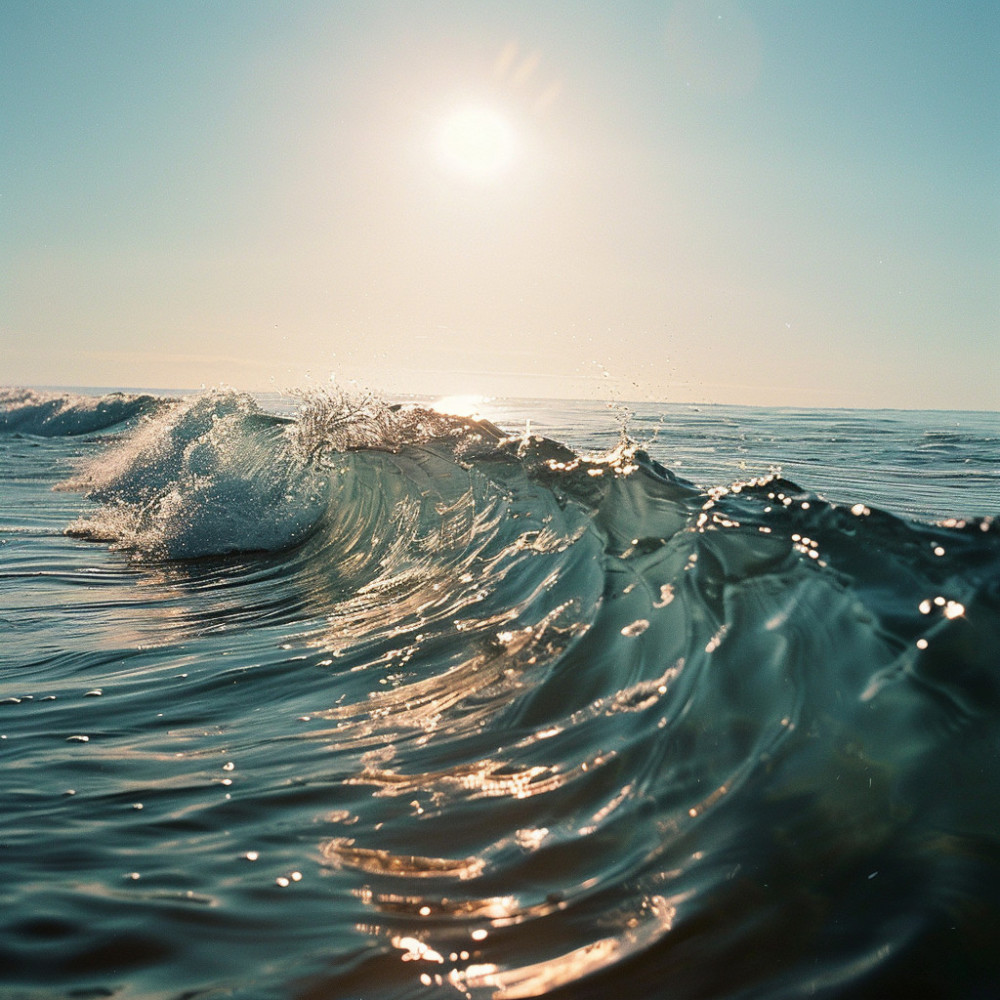 Pulso De Aguas Tranquilas