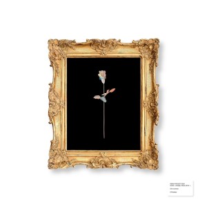 Listen to Dollar $hort - Blank Sense Remix - Extended song with lyrics from DRAMA