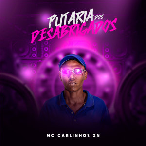 Listen to Putaria Dos Desabrigados (Explicit) song with lyrics from Mc Carlinhos ZN