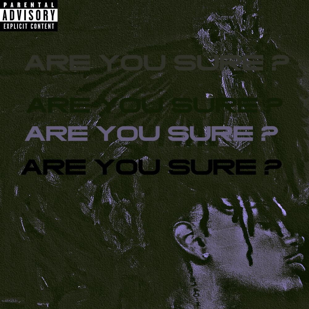 ARE YOU SURE? (Explicit)