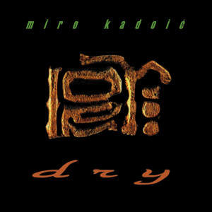 Listen to Dry (Alternative) song with lyrics from Miro Kadoic