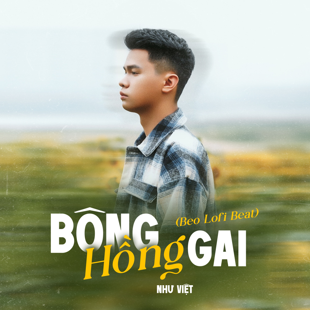 Bông Hồng Gai (Beat) (Beo Lofi Mix)