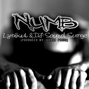 收聽Lyrikul的Numb (feat. DJ Sound Surge|Radio Edit|Explicit)歌詞歌曲
