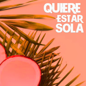 ดาวน์โหลดและฟังเพลง Quiere Estar Sola พร้อมเนื้อเพลงจาก Arion