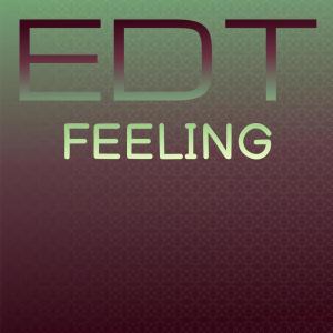 อัลบัม Edt Feeling ศิลปิน Various