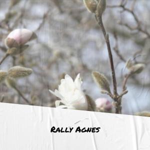 收聽Alip Morne的Romp Someone歌詞歌曲