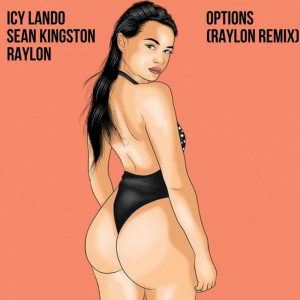 Album Options (Raylon Remix) oleh Icy Lando