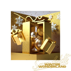 Album Winter Wonderland from Sam Feldt