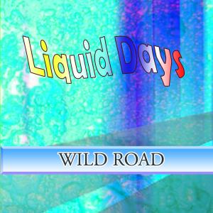 Liquid Days的專輯WILD ROAD