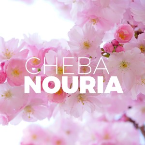 Album SLAT OUA SALAM from Cheba Nouria