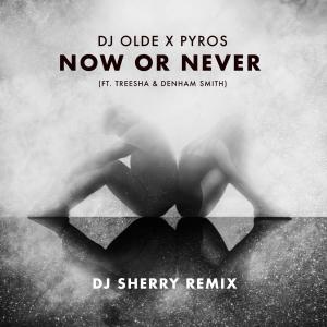 DJ Sherry的專輯Now or Never (feat. Treesha & Denham Smith) [DJ Sherry Remix]