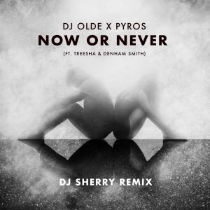 DJ Olde的專輯Now or Never (feat. Treesha & Denham Smith) [DJ Sherry Remix]