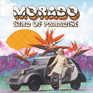 Morado的專輯Bird Of Paradise