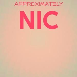 Various Artists的專輯Approximately Nic