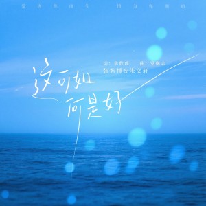 Listen to 这可如何是好 (伴奏) song with lyrics from 张智博