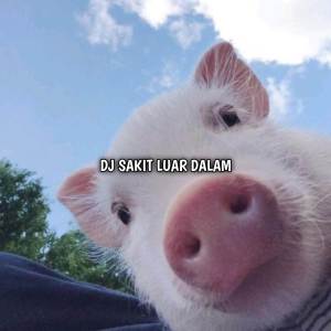 Listen to DJ Sakit Luar Dalam song with lyrics from DJ PALSU