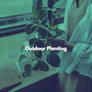 Album Outdoor Planting from Morning Calm Playlist