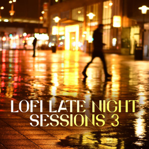 Album Lofi Late Night Sessions 3 from Various Artists