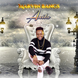 Listen to Anita song with lyrics from Marvin Bangs