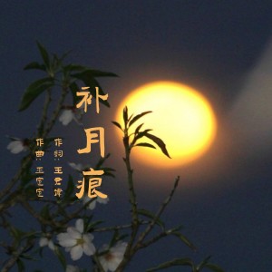 熊思嘉的专辑补月痕