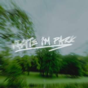 Listen to Nächte im Park (Sped Up Version) song with lyrics from Bnzo