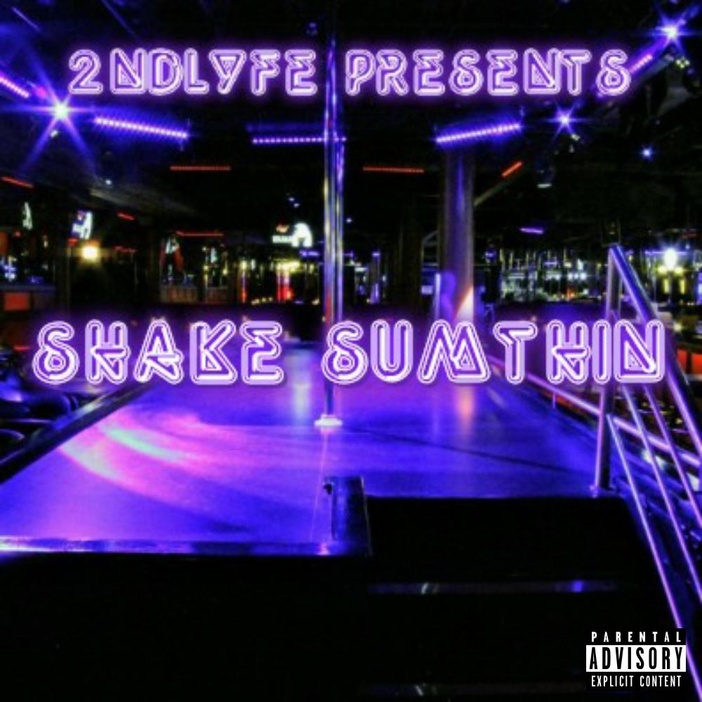 Shake Sumthin' (其他)