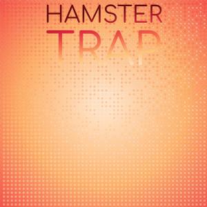 Listen to Order Aha song with lyrics from Mayte Roin