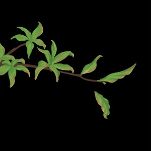 收听Lou Asril的Heaven歌词歌曲