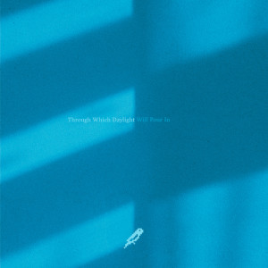 Album Through Which Daylight Will Pour In from Analogue Dear