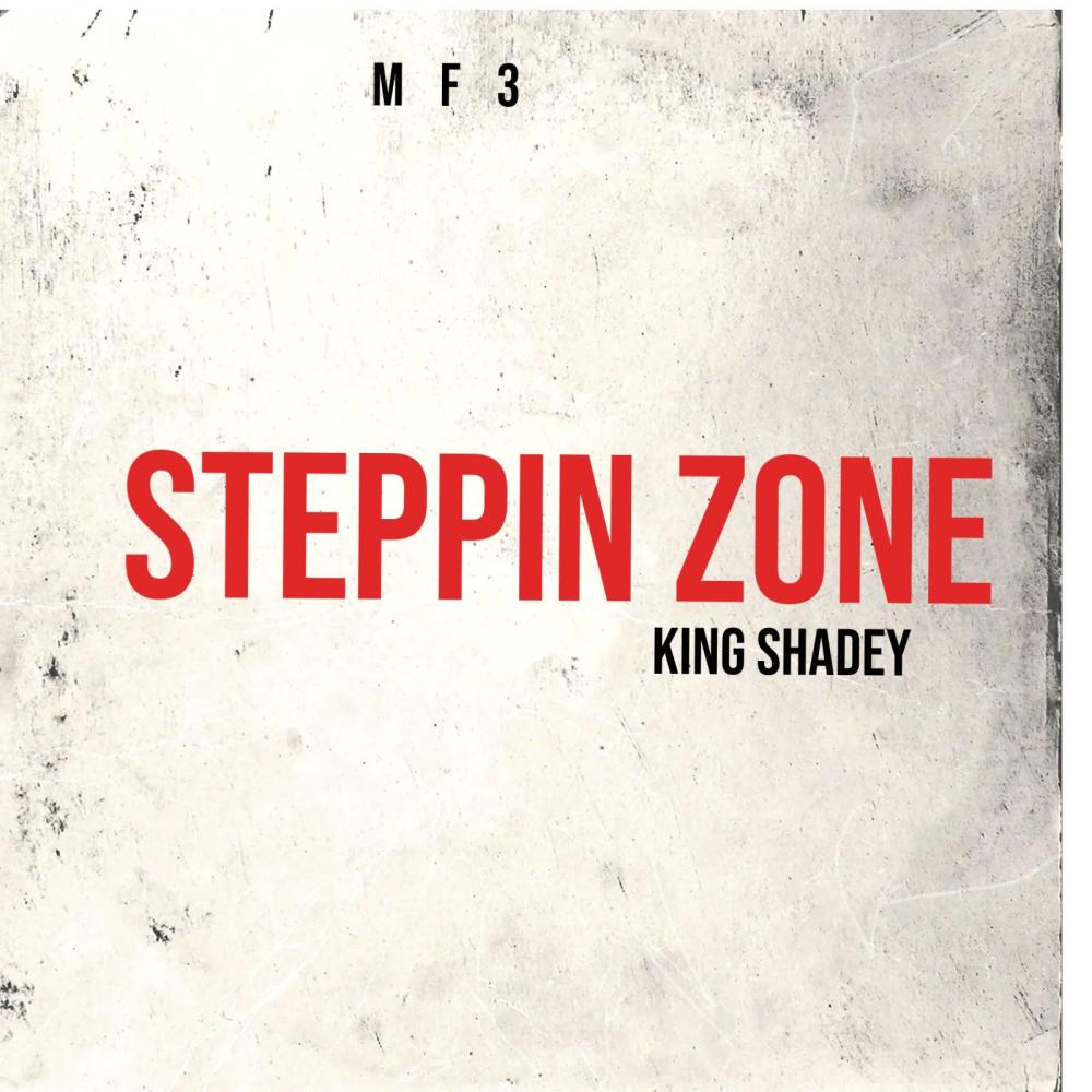 Stepping Zone (feat. Wavy Mook, Lil5 Porky & Jamsta) (Explicit)