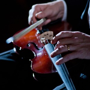 อัลบัม Symphony of Calm: Orchestra for Nighttime ศิลปิน Daytime Music