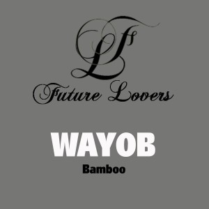 ดาวน์โหลดและฟังเพลง Spin พร้อมเนื้อเพลงจาก Wayob