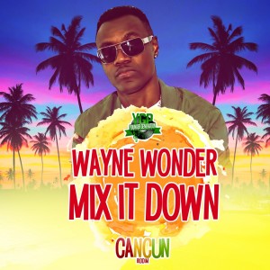 收聽Wayne Wonder的Mix It Down歌詞歌曲