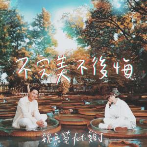 Dengarkan lagu 不完美不后悔 nyanyian 魏嘉莹 dengan lirik