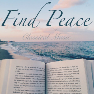 Various Artists的專輯Find Peace Classical Music