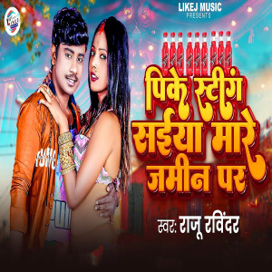 Album Pike Sting Saiya Mare Jamin Par from Raju ravindra