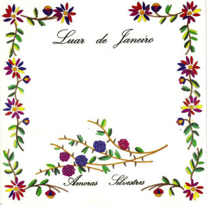 ดาวน์โหลดและฟังเพลง Galera พร้อมเนื้อเพลงจาก Luar de Janeiro